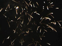 FISCHER7